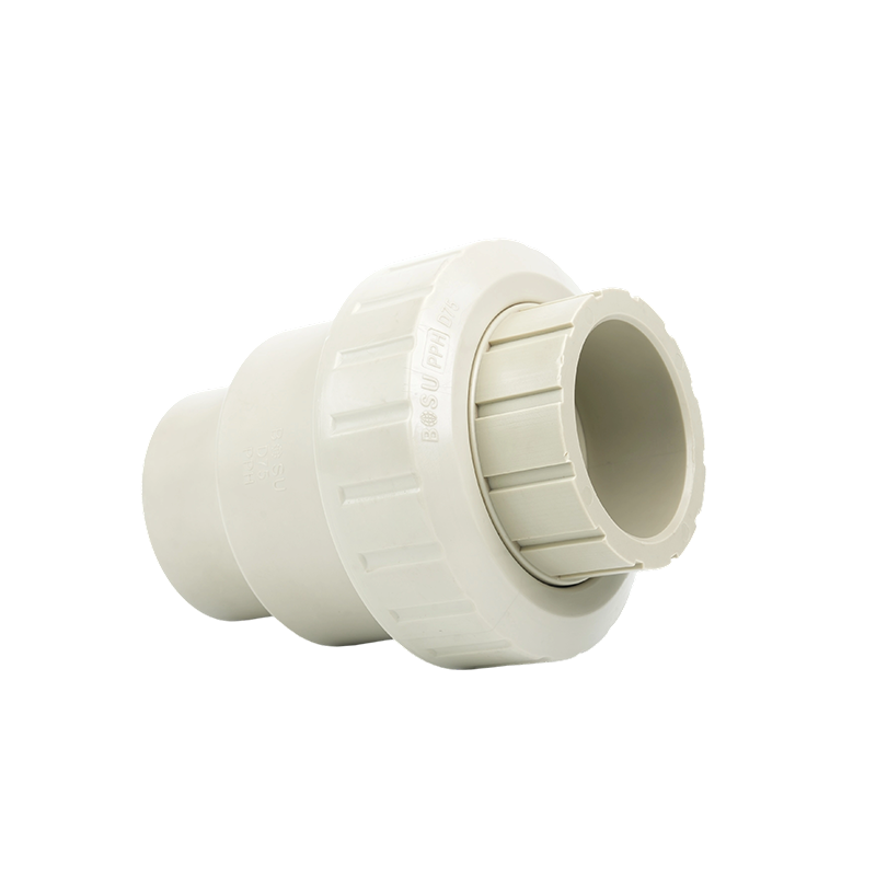 β--PPH Single Union Check Valve